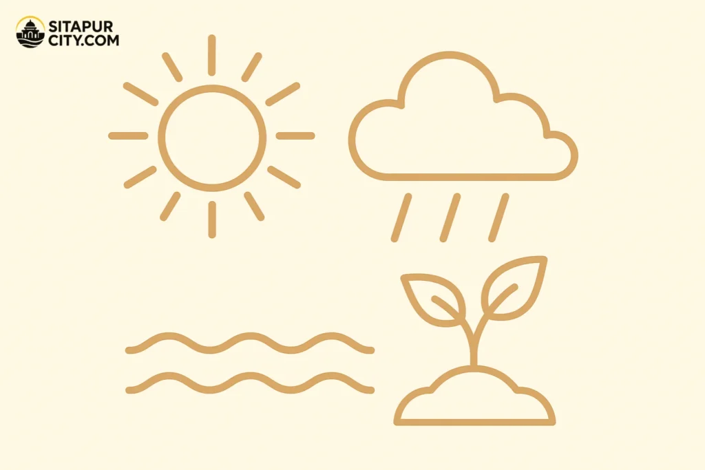 suraj ka asli rang kya hai?